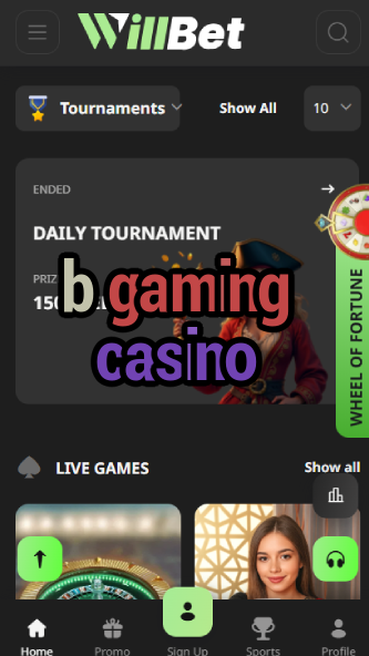 B Gaming Casino - Premium Casino Game Provider-ydblkf.net