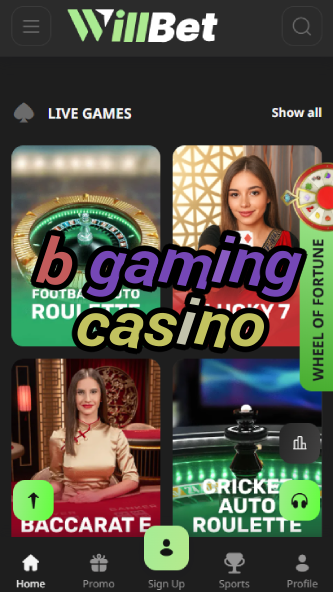 B Gaming Casino - Premium Casino Game Provider-ydblkf.net