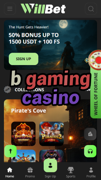 B Gaming Casino - Premium Casino Game Provider-ydblkf.net