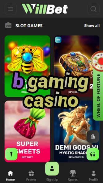 B Gaming Casino - Premium Casino Game Provider-ydblkf.net